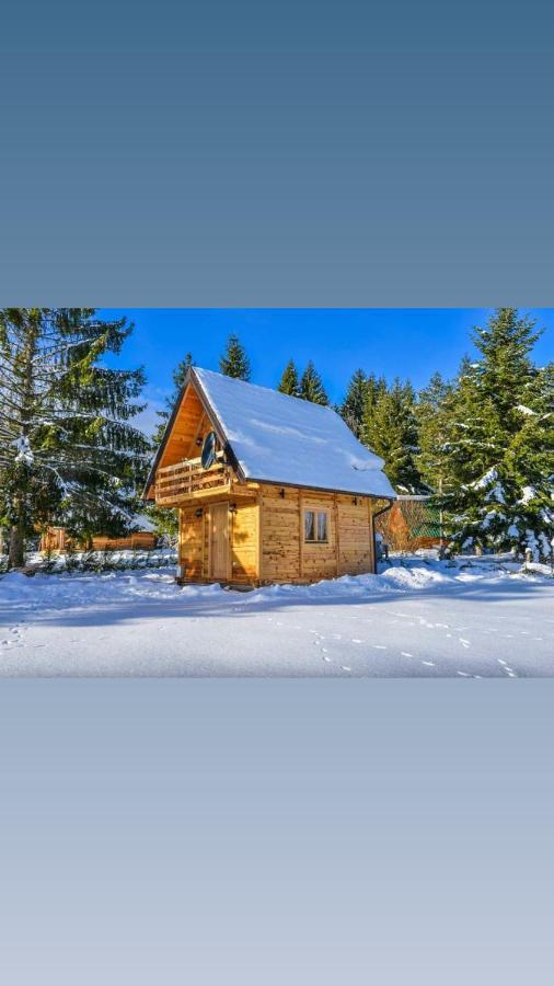Villa Tisina Tare Bajina Basta Exterior foto