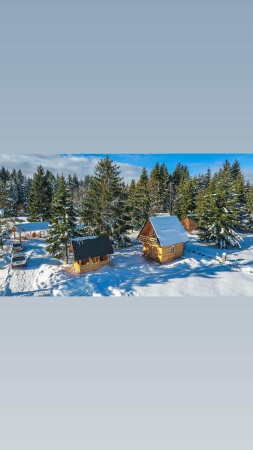 Villa Tisina Tare Bajina Basta Exterior foto