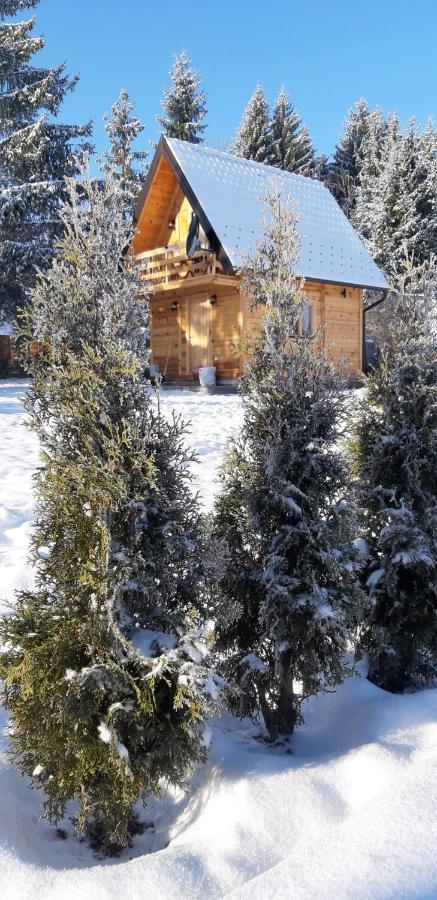 Villa Tisina Tare Bajina Basta Exterior foto