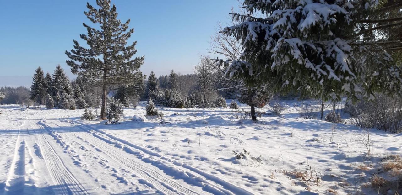 Villa Tisina Tare Bajina Basta Exterior foto
