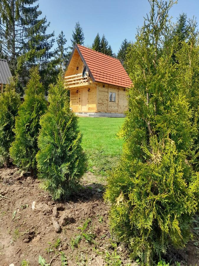 Villa Tisina Tare Bajina Basta Exterior foto